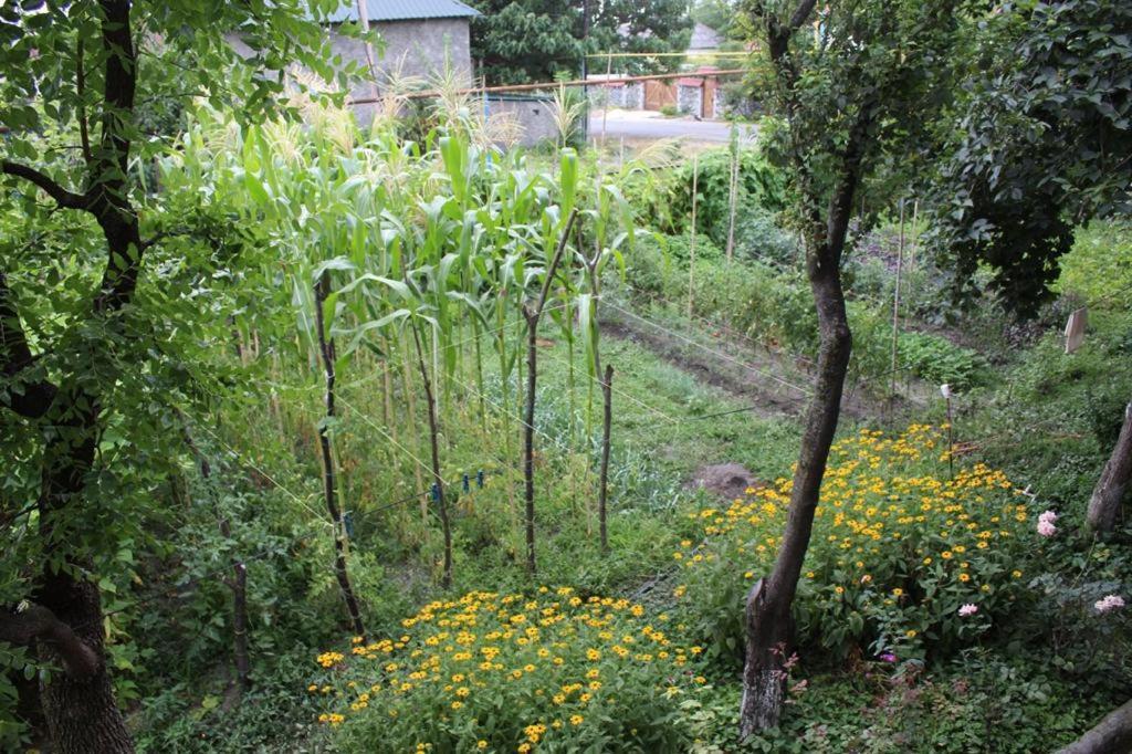 Green Corner Лагодехи Экстерьер фото