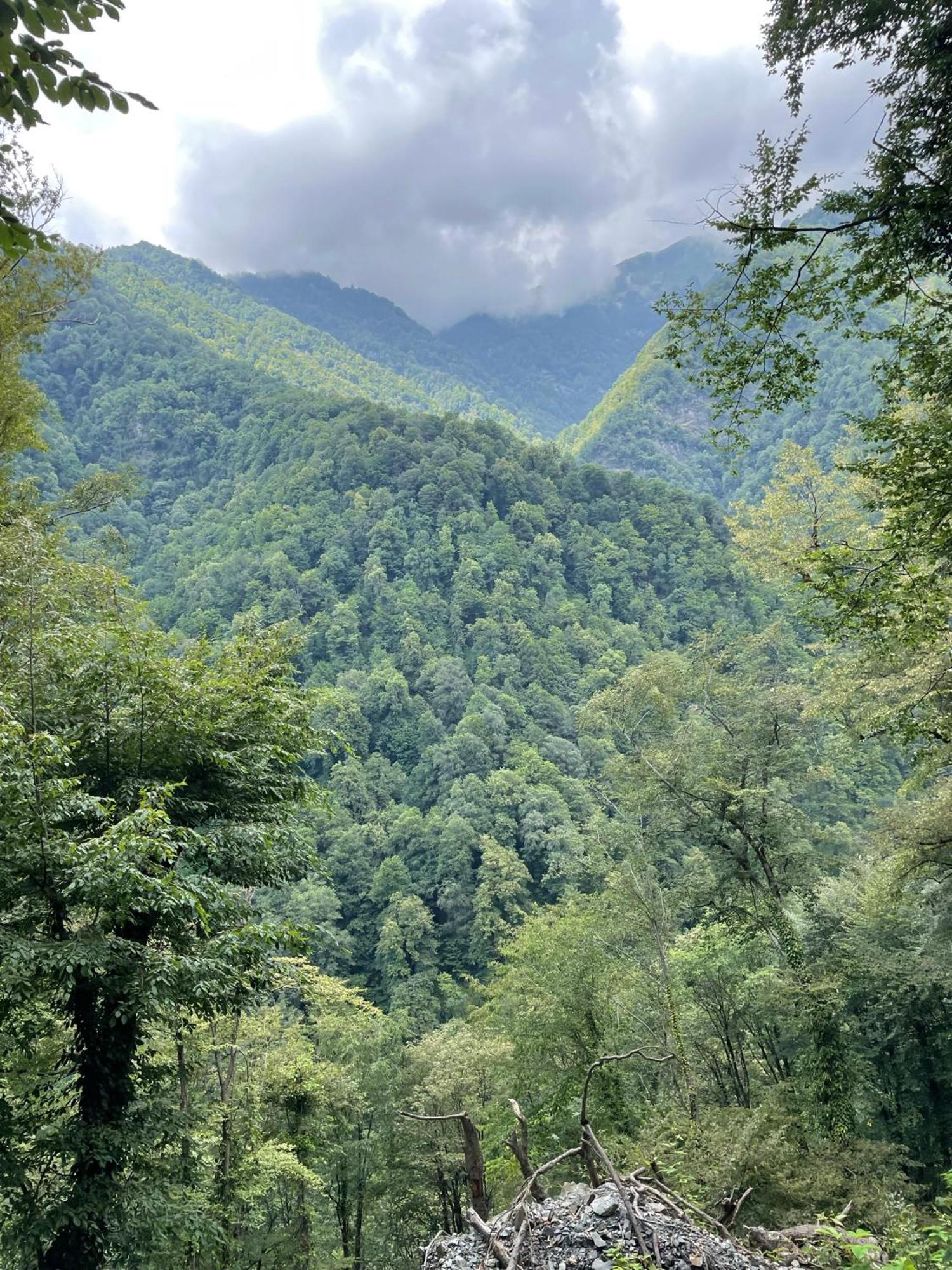 Green Corner Лагодехи Экстерьер фото